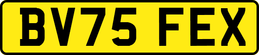 BV75FEX