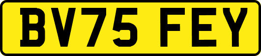 BV75FEY
