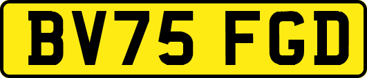 BV75FGD