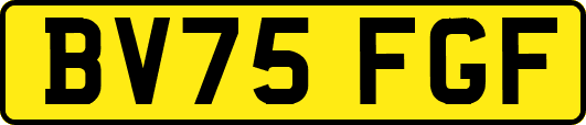 BV75FGF