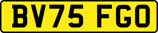 BV75FGO