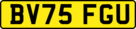 BV75FGU