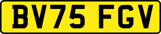 BV75FGV