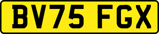 BV75FGX