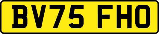 BV75FHO