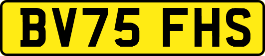 BV75FHS