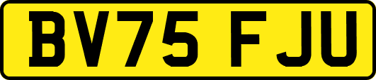 BV75FJU