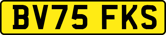 BV75FKS