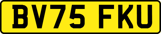 BV75FKU