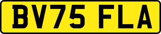BV75FLA