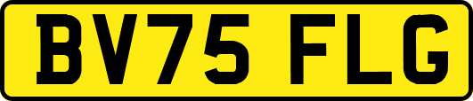 BV75FLG