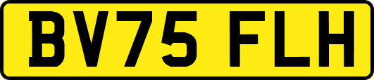 BV75FLH