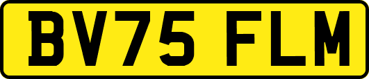 BV75FLM
