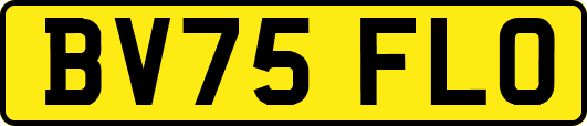 BV75FLO