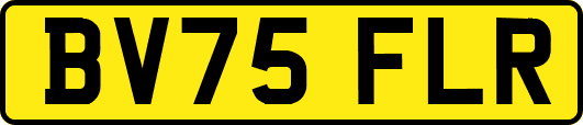 BV75FLR