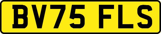 BV75FLS