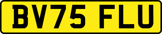 BV75FLU