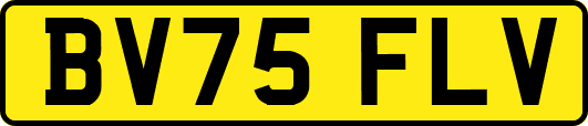 BV75FLV