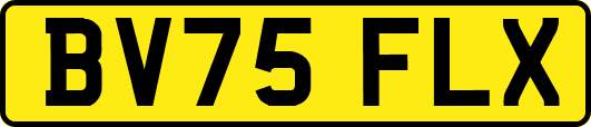 BV75FLX