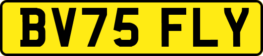BV75FLY
