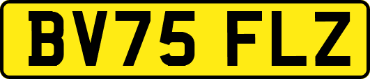 BV75FLZ