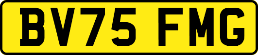 BV75FMG