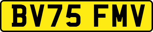 BV75FMV