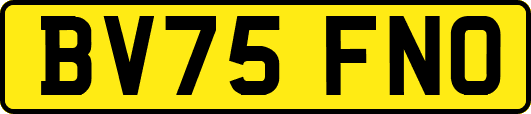 BV75FNO