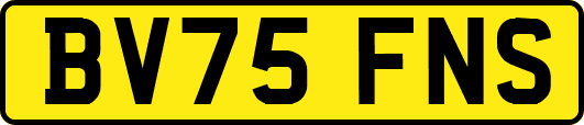 BV75FNS