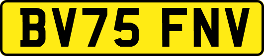 BV75FNV