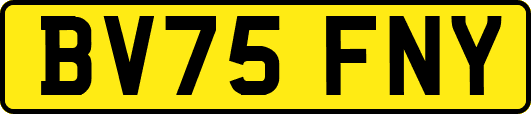 BV75FNY