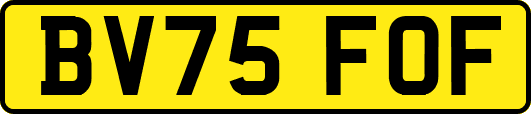 BV75FOF
