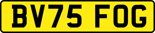 BV75FOG