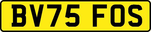 BV75FOS