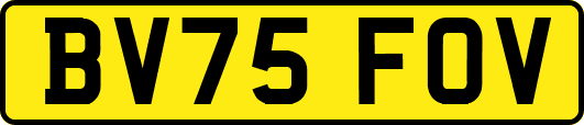 BV75FOV