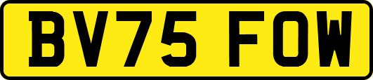 BV75FOW