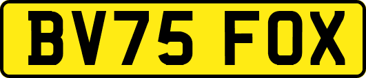 BV75FOX