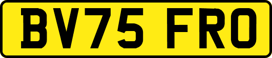 BV75FRO