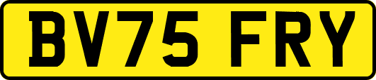 BV75FRY