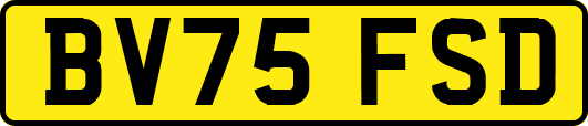 BV75FSD