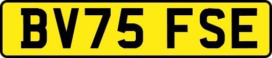 BV75FSE