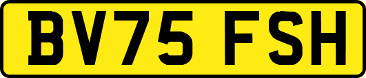 BV75FSH