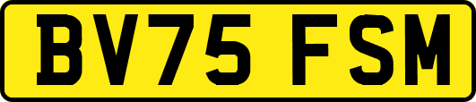 BV75FSM