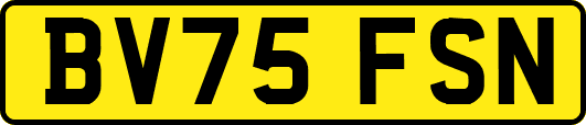 BV75FSN