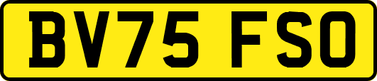 BV75FSO