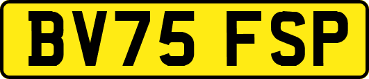 BV75FSP