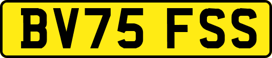BV75FSS