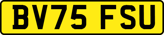 BV75FSU