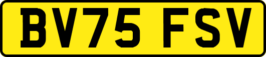 BV75FSV