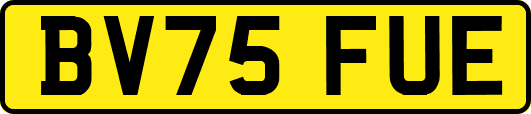 BV75FUE
